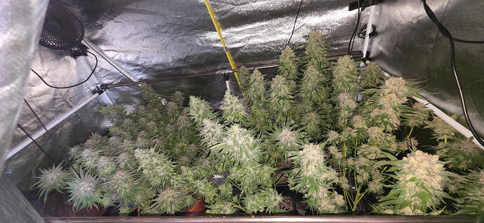 Growreport Bild 27
