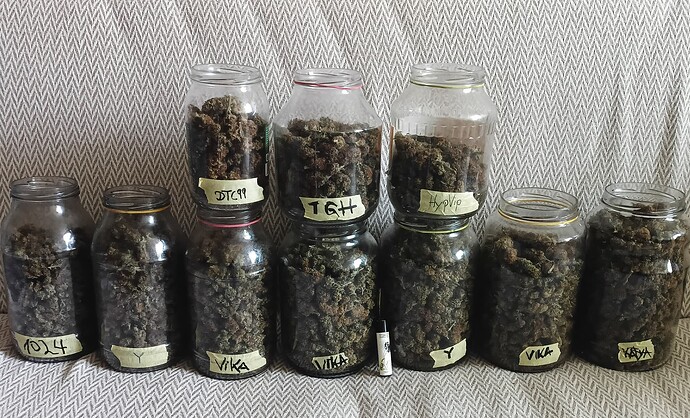 Growreport Bild 3
