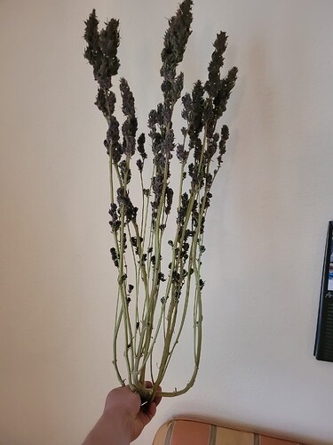 Growreport Bild 16