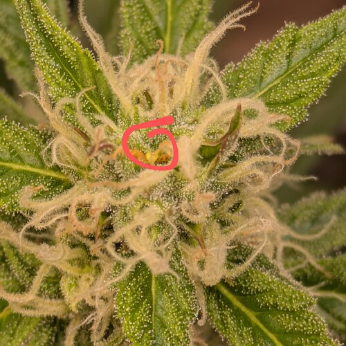 Growreport Bild 7