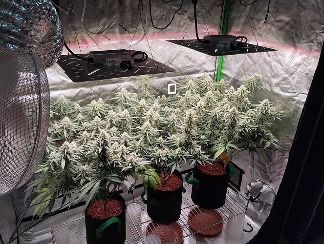 Growreport Bild 12