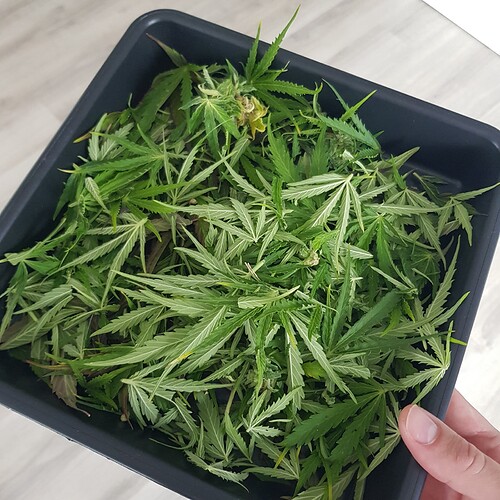 Growreport Bild 14
