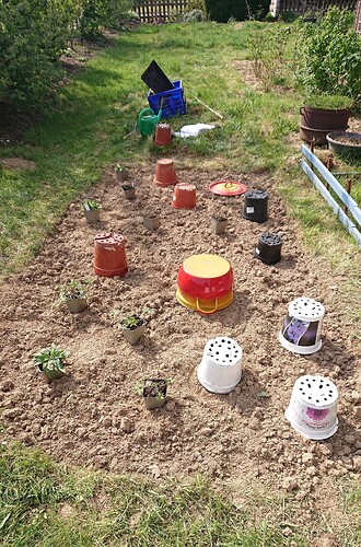 Growreport Bild 22