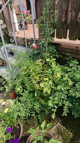 Growreport Bild 24