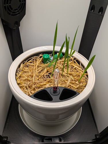 PXL_20250307_173839562