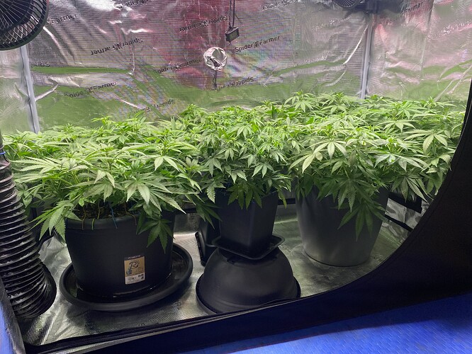 Growreport Bild 21