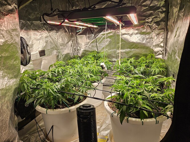 Growreport Bild 5