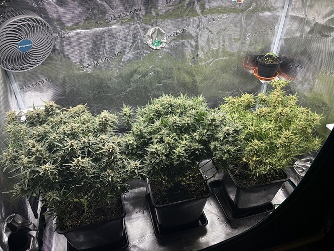 Growreport Bild 23