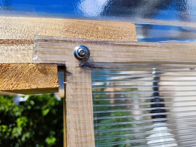 Growreport Bild 6