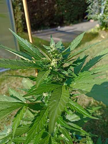 WhatsApp Bild 2025-09-19 um 15.23.26_73cbbc49