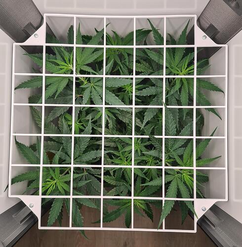 signal-2024-07-30-183153