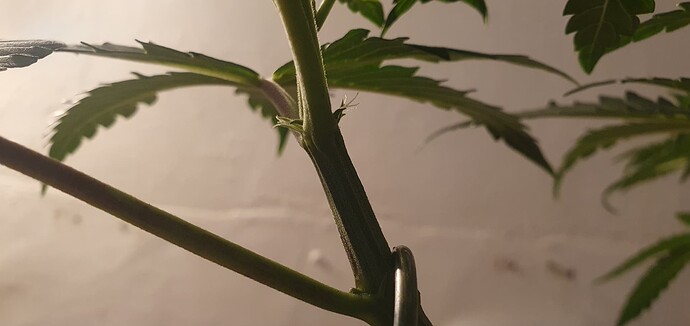 Growreport Bild 2