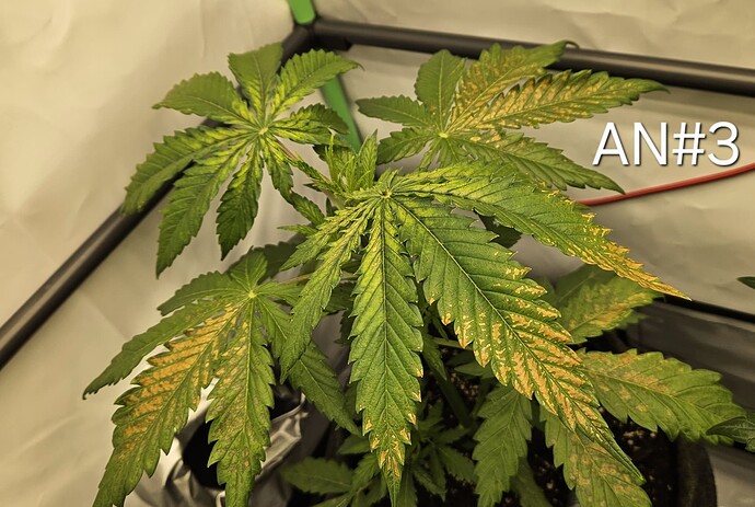 Growreport Bild 14