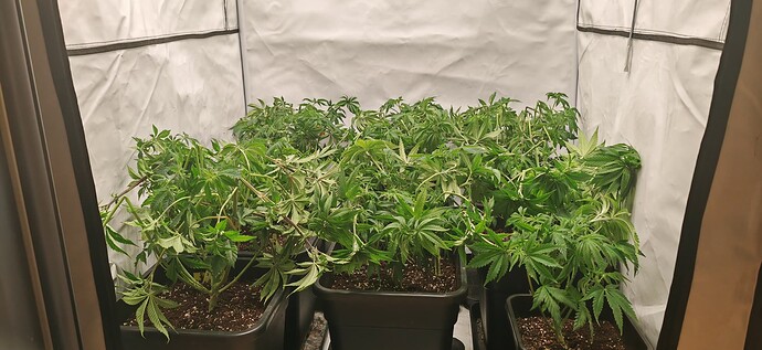 Growreport Bild 7