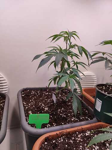 WhatsApp Image 2024-05-25 at 19.50.45 (1)