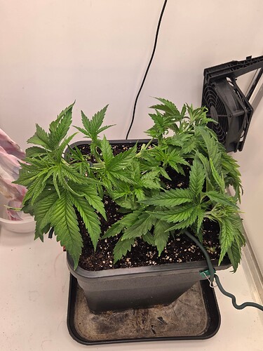 Growreport Bild 7