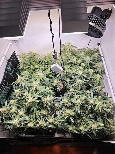 MVIMG_20251109_200549