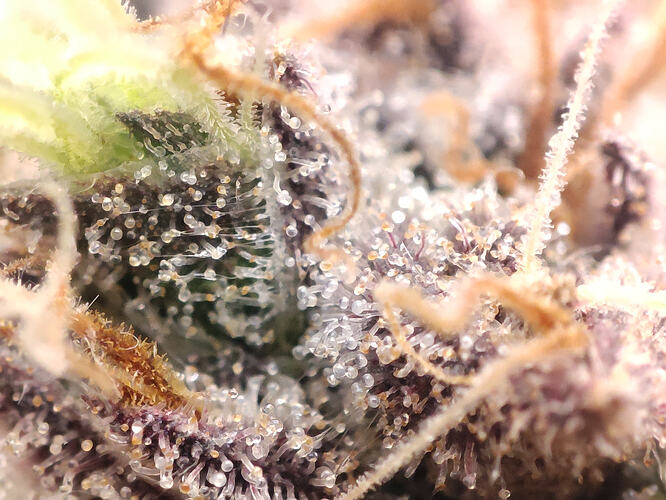Growreport Bild 18