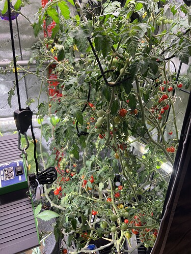 Growreport Bild 20