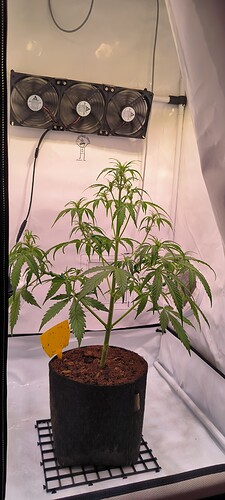 Growreport Bild 14