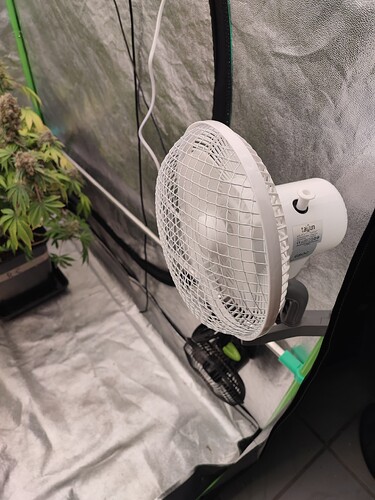 Growreport Bild 34