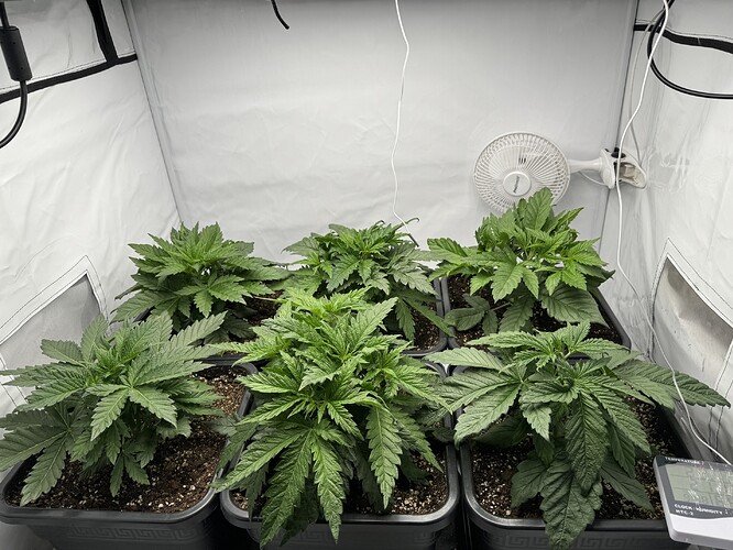 Growreport Bild 5