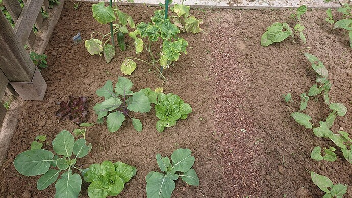 Growreport Bild 13
