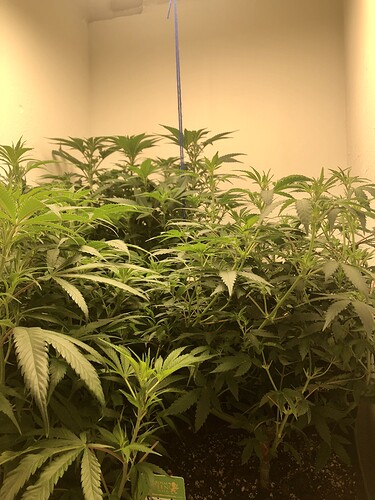 Growreport Bild 2