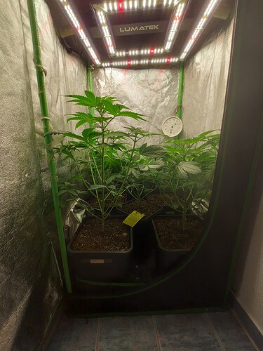 Growreport Bild 10