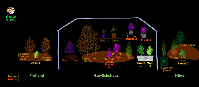 Garten26PlanAutoRun2