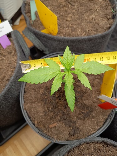 IMG_20240503_204703186