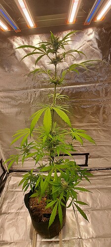Growreport Bild 30