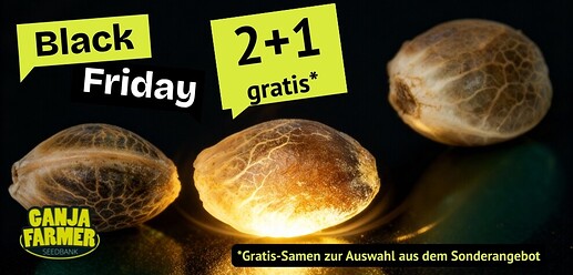 ganja farmer black friday