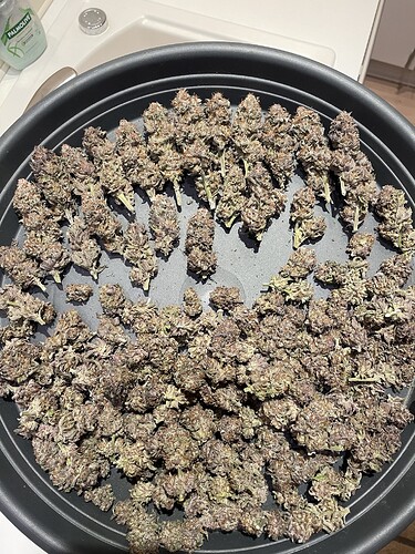 Growreport Bild 16