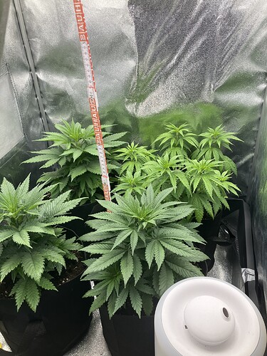 Growreport Bild 20