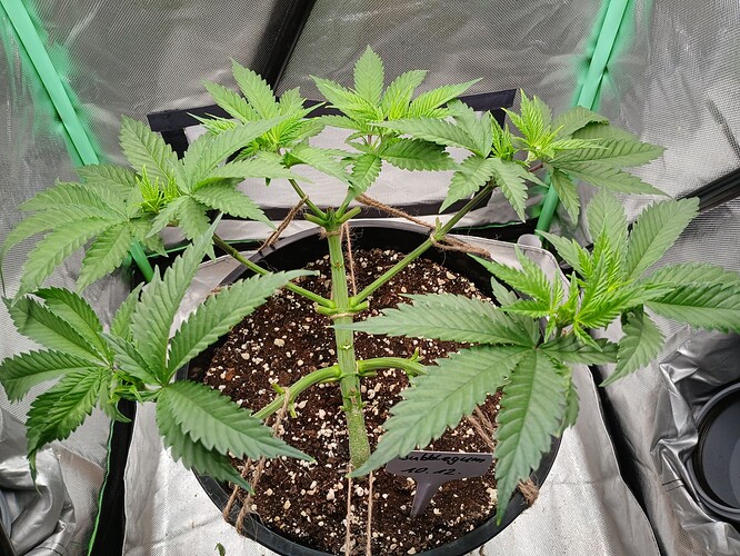 Growreport Bild 16