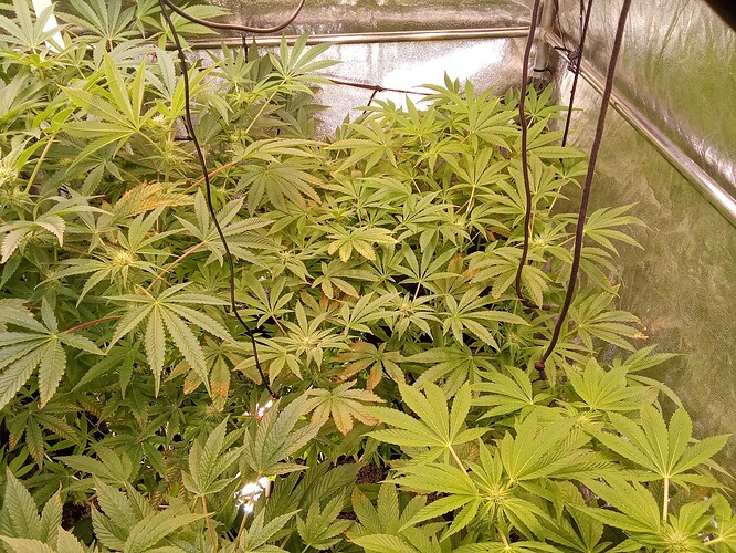 d295de0c-343b-48ba-8257-865160daf741