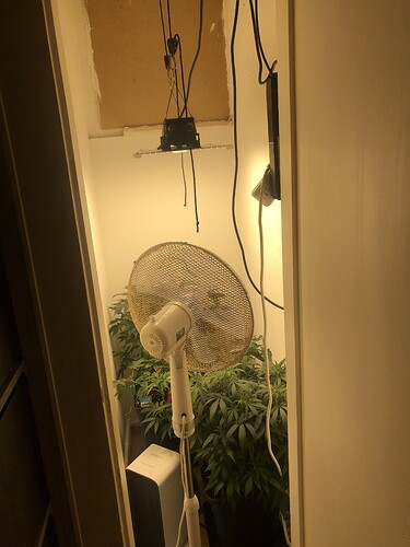 Growreport Bild 10