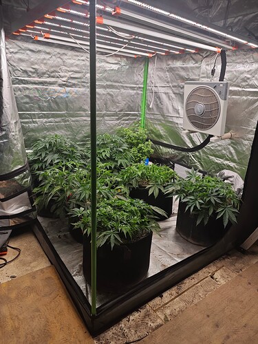 Growreport Bild 8
