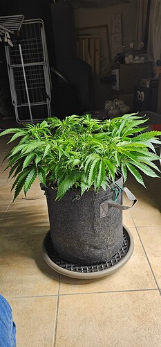 Growreport Bild 19