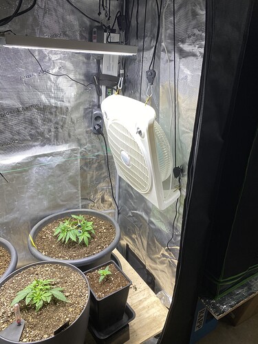Growreport Bild 43