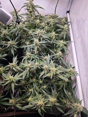 MVIMG_20251105_164447