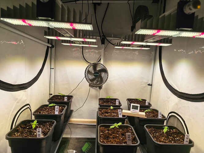 Growreport Bild 21