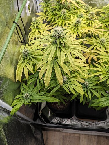 PXL_20240616_161937560