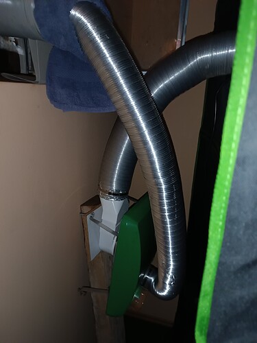 Growreport Bild 1