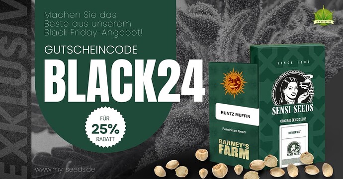 BlackFriday-My-Seeds.de