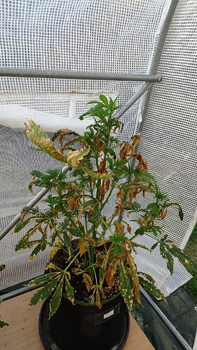 DSC01305