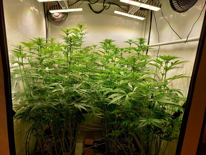 Growreport Bild 16