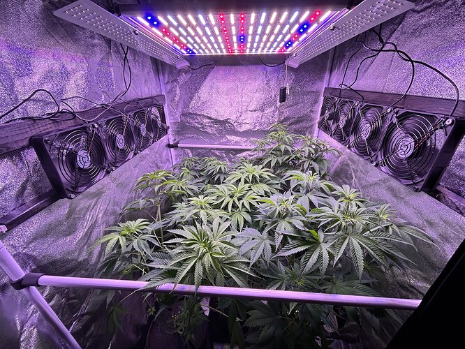 Growreport Bild 7