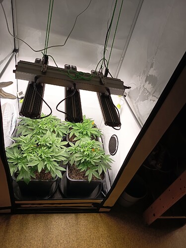 Growreport Bild 14